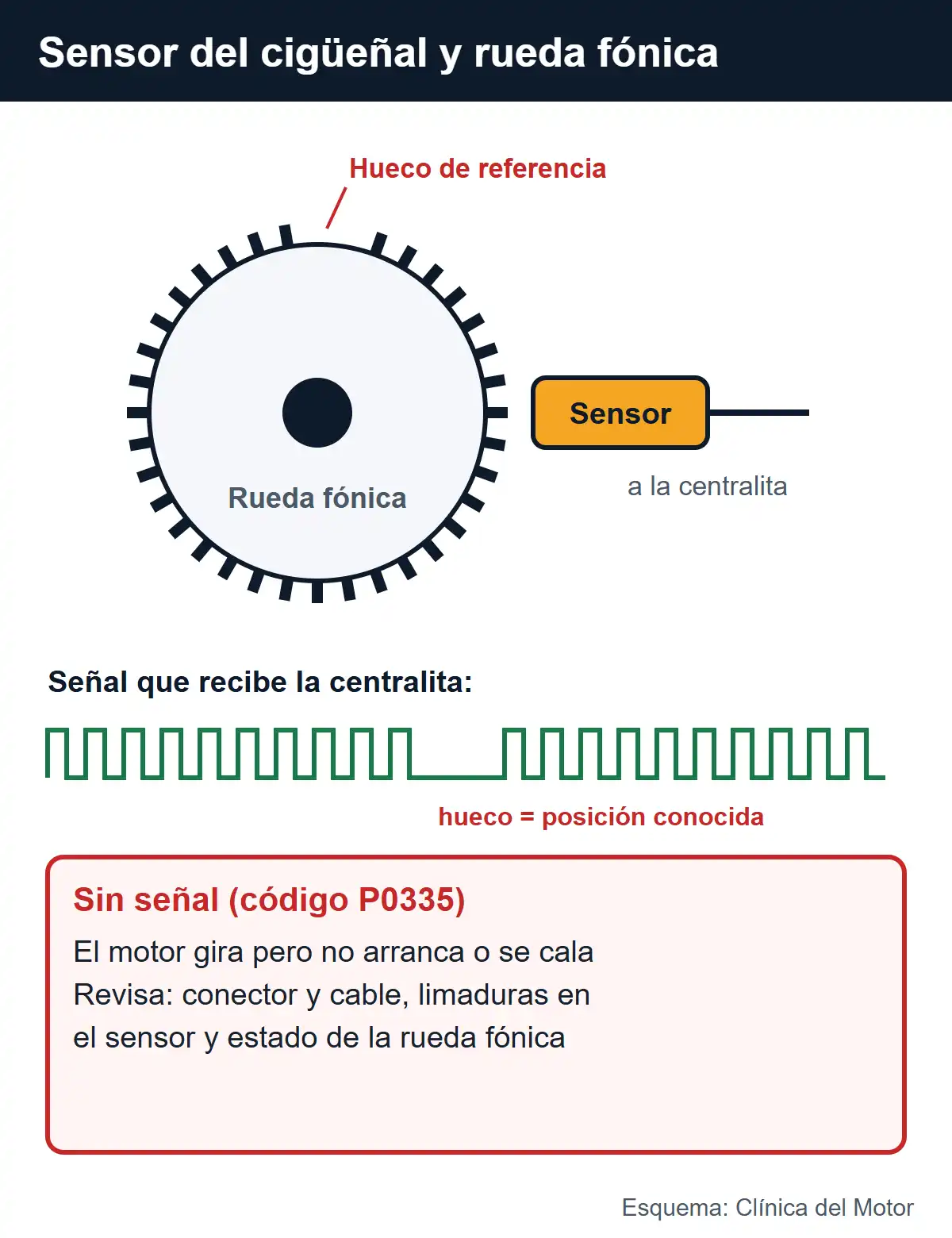 Esquema de la rueda fónica del cigüeñal con su hueco de referencia, el sensor que la lee y la señal de pulsos que recibe la centralita